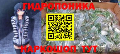 спиды Можга