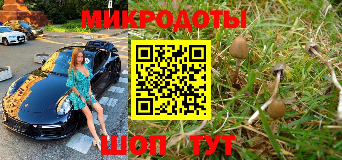 Псилоцибиновые грибы Magic Shrooms Туапсе