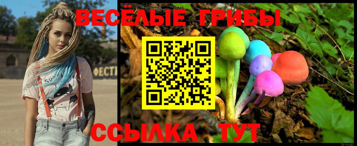 Туапсе  Псилоцибиновые грибы MAGIC MUSHROOMS  Вход с VPN 